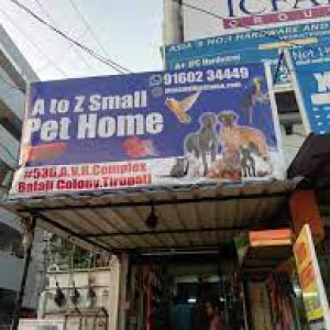 A To Z Home Pets Shop Boarding Service