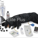 Advanced Sanitary CPR Dog