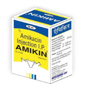 Amikacin Injection I.P