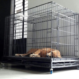 Aquapetzworld 49" Large Heavy Duty Metal Dog Cage Kennel Crate