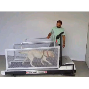 Oceanic Fitness Dog Treadmill