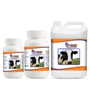 Cattle Herbal Immunity Enhancer Supplement (P-Cold)