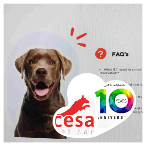 Cesar Pet Care