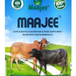 Cow and Buffalo Nutrition feed Supplement