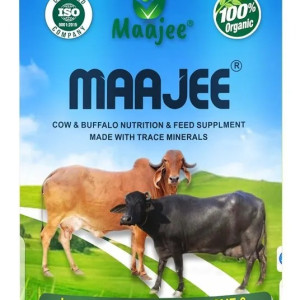 Cow and Buffalo Nutrition feed Supplement