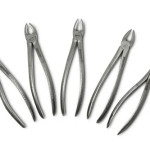German Steel Dental Extraction Forceps Set Adult