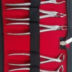 Stainless Steel Manual Dental Extraction Forceps Kit