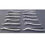 Stainless Steel GDC DENTAL Extraction Forceps Kit (Set Of 12), For Commercial