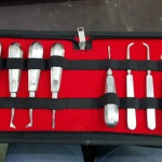 Forgesy Dental Root Elevators Set for Clinical