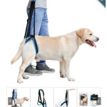Fall Protection Dog Belt