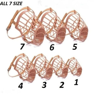Buckle Dog Brown Muzzle