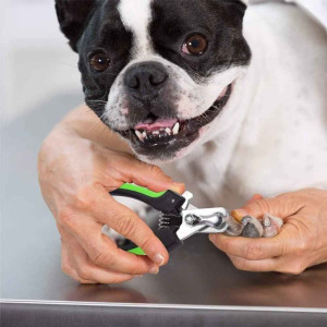 Stainless Steel Dog Cat Nail Clippers