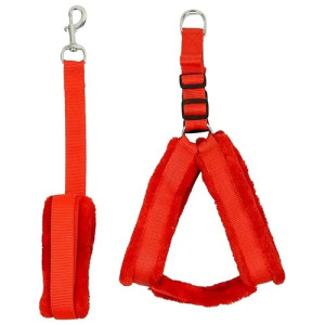 Dog Harness And Leash Set Small