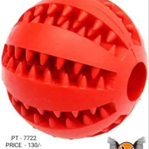 Dog Play Ball