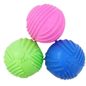 Dog Toy Squeaky