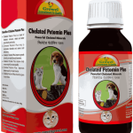 Minerals For Dogs