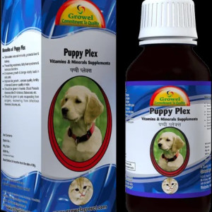 Dog Vitamins And Minerals Supplements