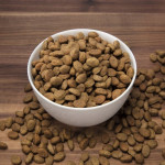 Dog Dry Food
