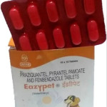Eazypet Dewormers For Dog