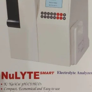 Fully Automatic Nulyte Electrolyte Analyser, For Laboratory, User Input: Keyboard