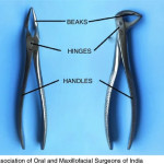 Stainless Steel Extraction Forceps