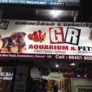 G R Aquarium And Pets