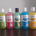 Herbal Dog Shampoo, Pet Dog Shampoo