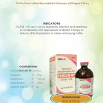 Veterinary injection Himacam MP Meloxicam Paracetamol