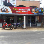 Little Gangster's Pets & Kennel