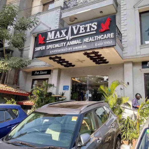 Max Vets Hospital, East Of Kailash in Greater Kailash