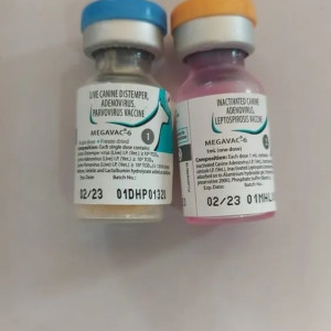 Megavac 6 Dog Vaccine
