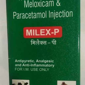 Meloxicam Paracetamol Injection