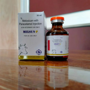Meloxicam with Paracetamol veterinary injection