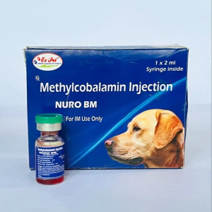 Methylcobalamin Nura BM Injection, 1 x 2 ml