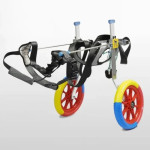 Mint Bowl Dog Wheelchair