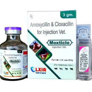 MOXTICLO 3G(Amoxycillin 1500MG & Cloxacillin 1500MG Injection FOR VET)
