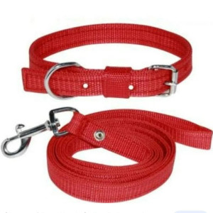 Dog Collar Belt ,Home Purpose