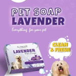 Pet Dog Soap