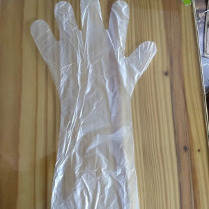 Poly Latex Veterinary Hand Gloves, Size: Elbow Length