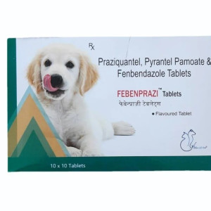 Syrup Praziquantel Pyrantel Pamoate Fenbendazole Tablets, 250 mg, For Dogs