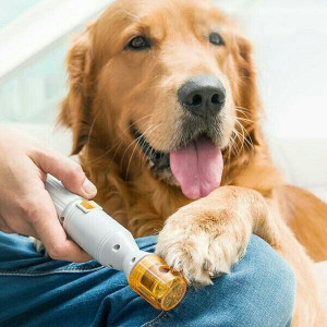 Premium Painless Nail Clipper for Pets - Dogs & Cats for Home Purpose