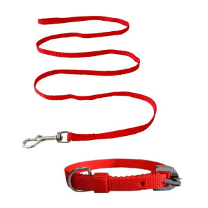 RED Color  Dog Collar