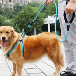 Reflective Pet Belt Rope