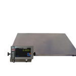 SS Platform Scale