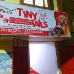 Tiny Tails