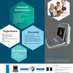 2D KONICA MINOLTA JAPAN B1PRO VETERINARY ULTRASOUND FOR ANIMALS