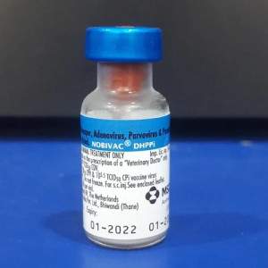 DHPPI Vaccine, For Clinical, Packaging Type: Vial