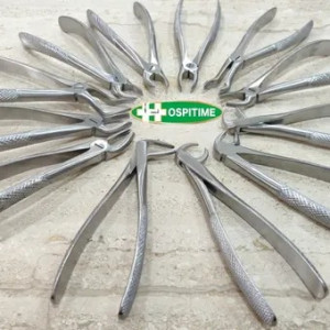 Stainless Steel Hospitime Tooth Extracting Forceps, For Hospital