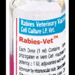 Anti Rabies Vaccine Veterinary, For Hospital, Packaging Type: Vial