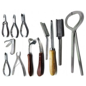 Plastic Veterinary Dental Equipment